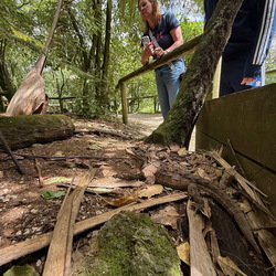New Zealand - 2025 Visit